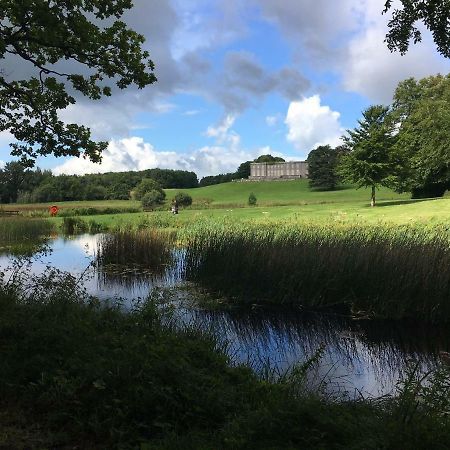 Curraghchase Cottage Kilcornan Exterior foto